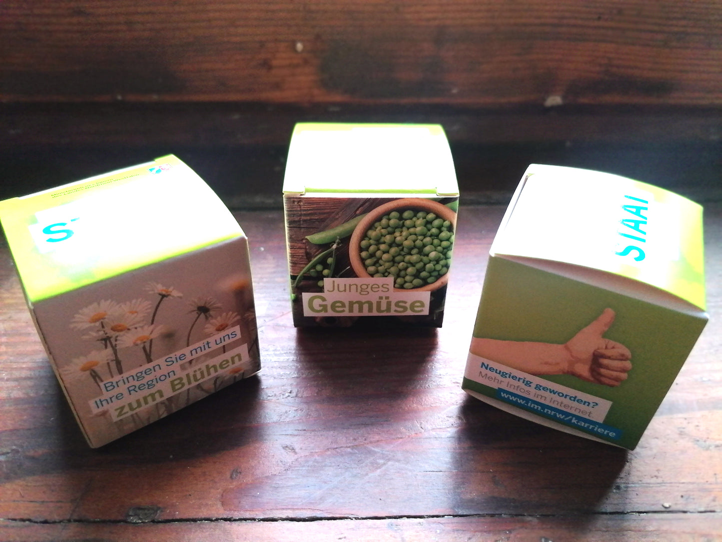 Seedballs in quadratischer Geschenkbox – individuell bedruckt