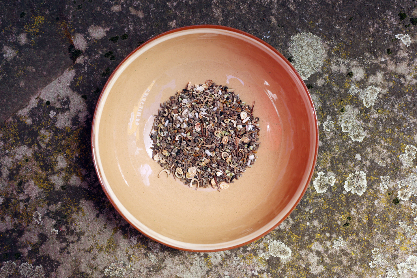 Seedball DIY Kit für 25 oder 100 Seedballs