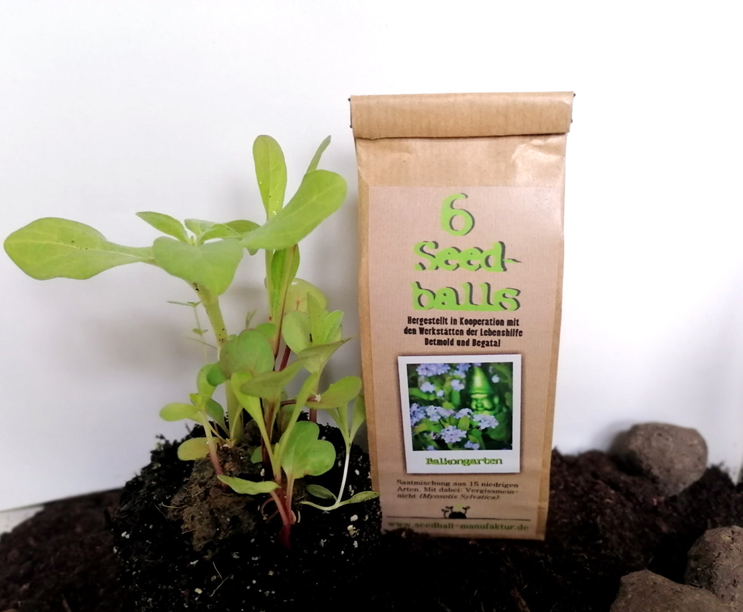 Seedballs, 3er/6er-Packung