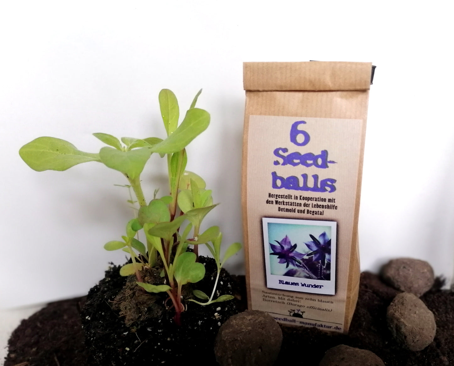 Seedballs, 3er/6er-Packung