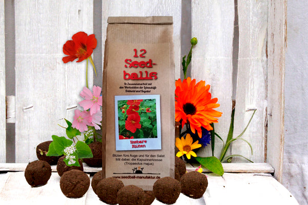 Seedballs im 12er-Pack