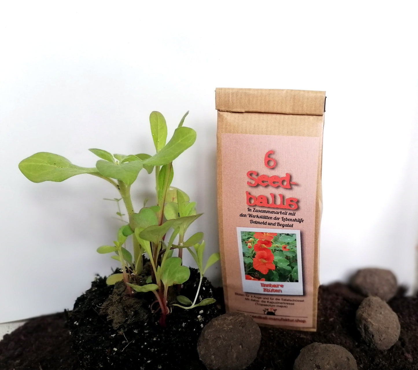 Seedballs, 3er/6er-Packung