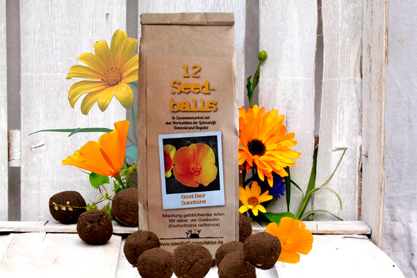 Seedballs im 12er-Pack