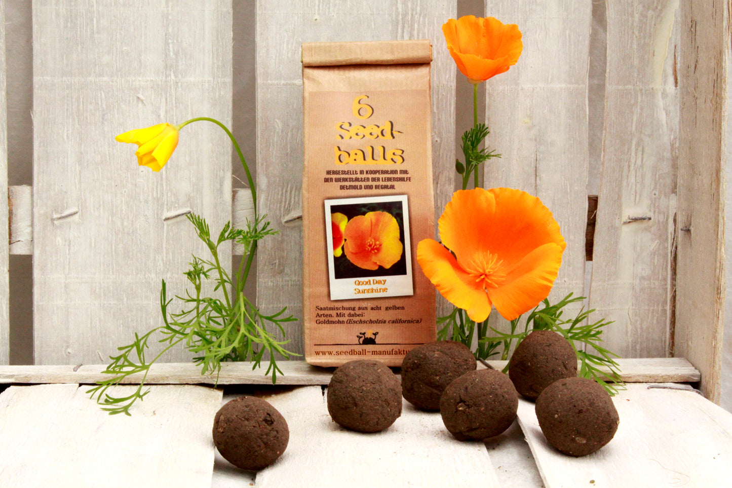 Seedballs, 3er/6er-Packung