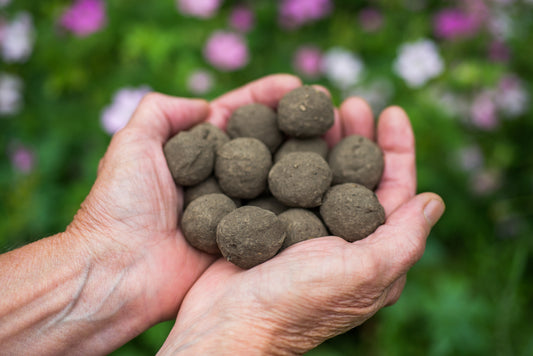 Seedballs unverpackt