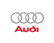 Audi Logo – Seedball‑Give‑away als umweltfreundliches Werbemittel für Firmenkunden