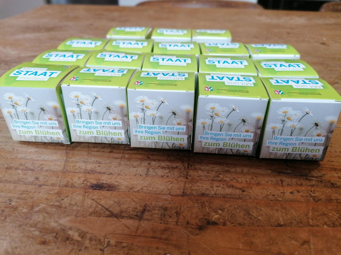 Seedballs in quadratischer Geschenkbox – individuell bedruckt