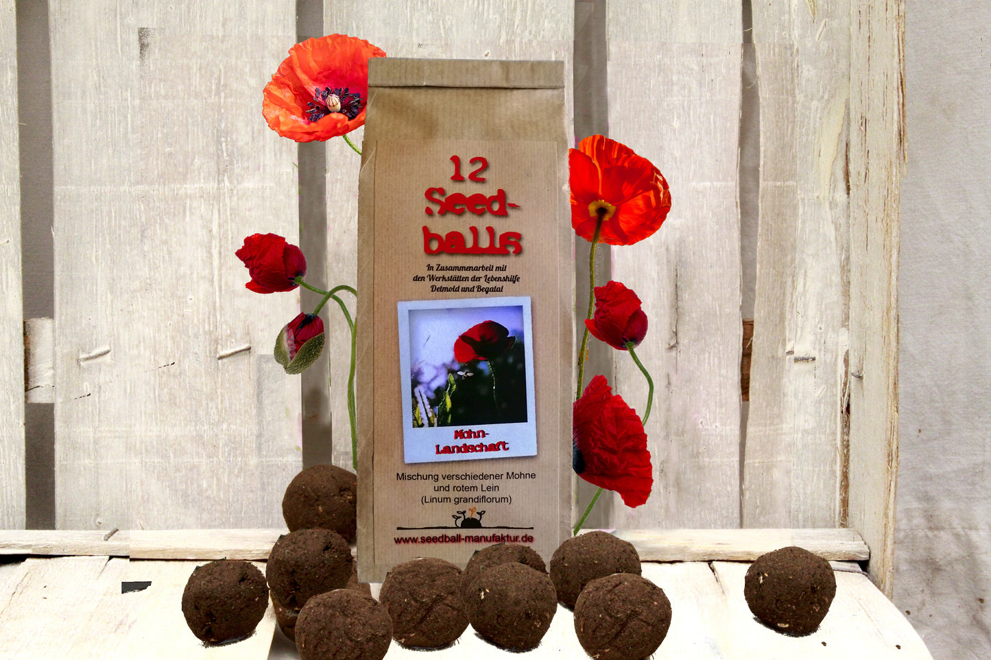 Seedballs im 12er-Pack