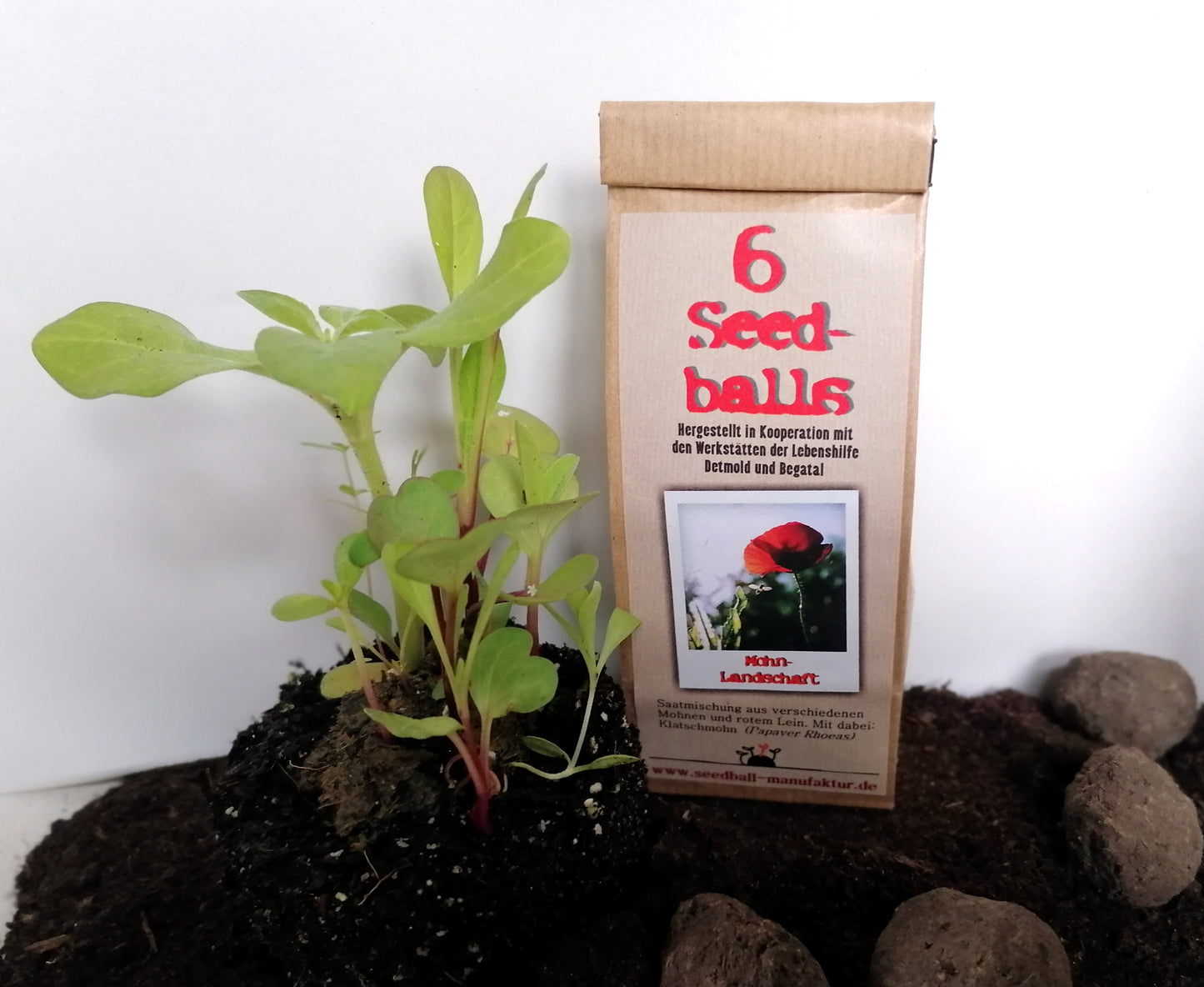 Seedballs, 3er/6er-Packung