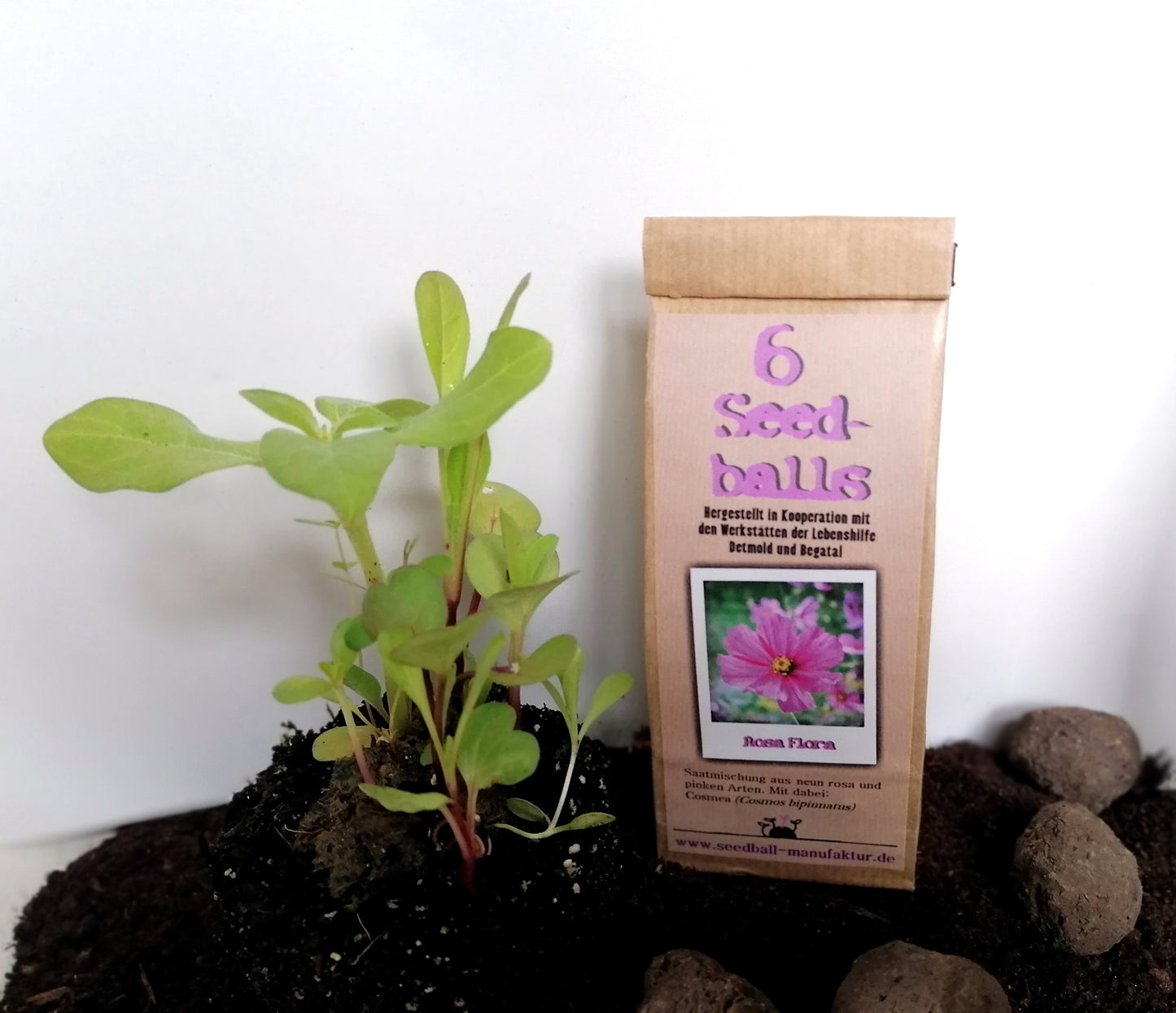 Seedballs, 3er/6er-Packung