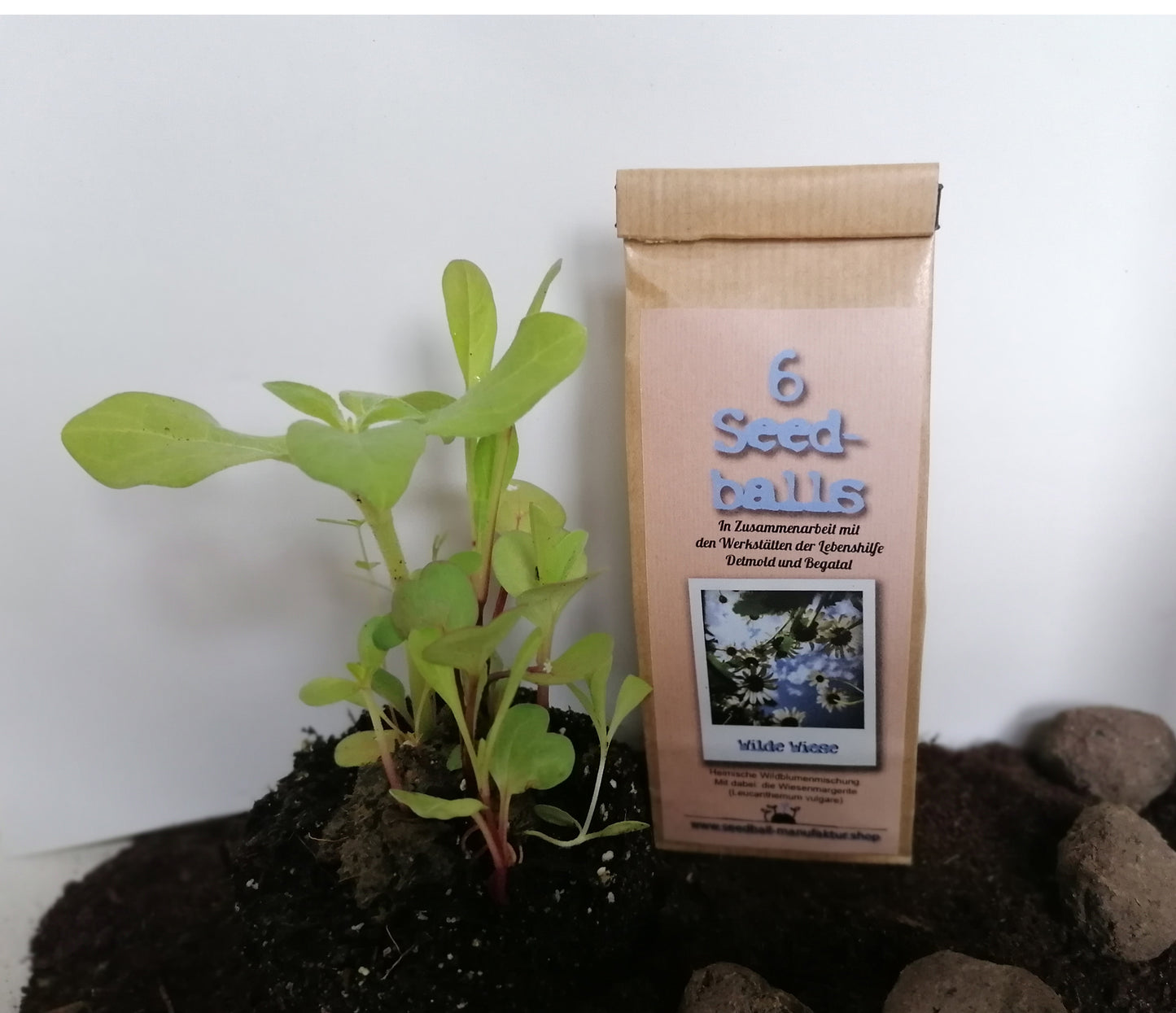 Seedballs, 3er/6er-Packung