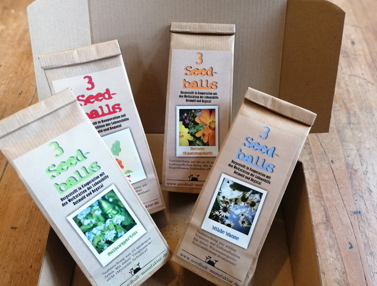 Die Weihnachts-Edition: Geschenkbox mit 4 Seedballtüten