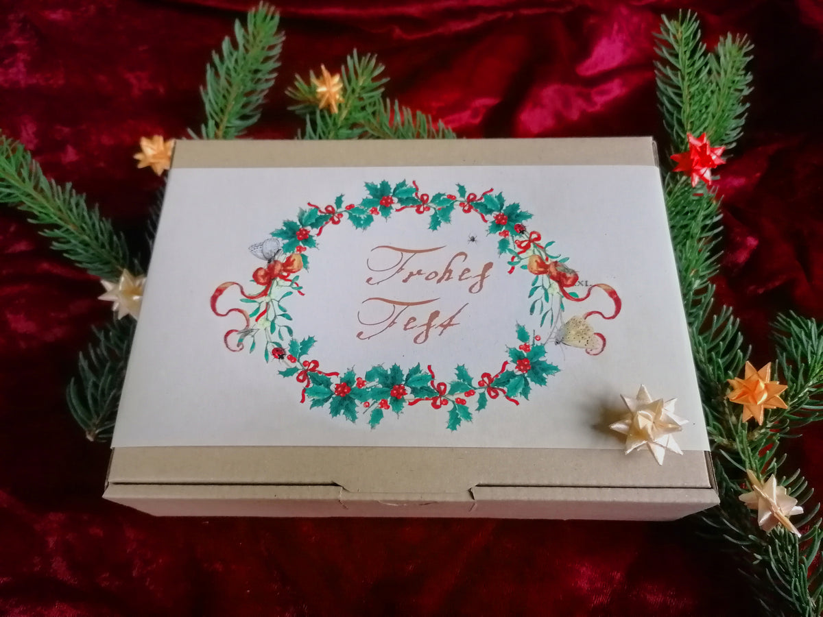 Die Weihnachts-Edition: Geschenkbox mit 4 Seedballtüten