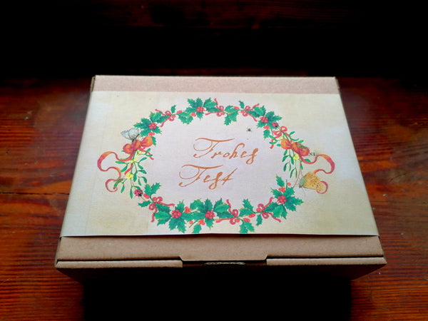 Die Weihnachts-Edition: Geschenkbox mit 4 Seedballtüten