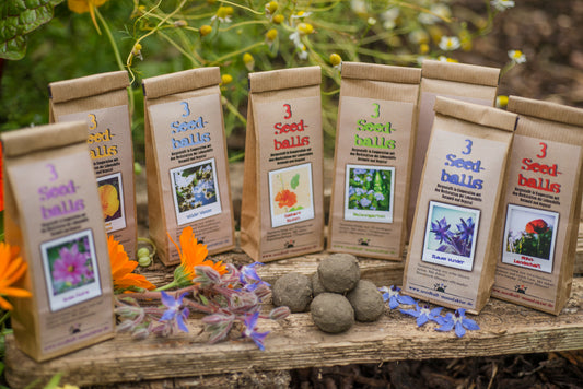 Seedballs, 3er/6er-Packung